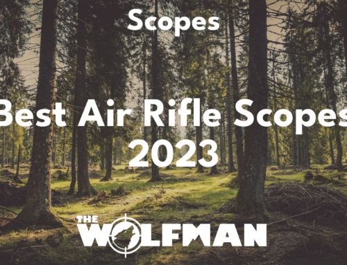 Best Air Rifle Scopes 2023