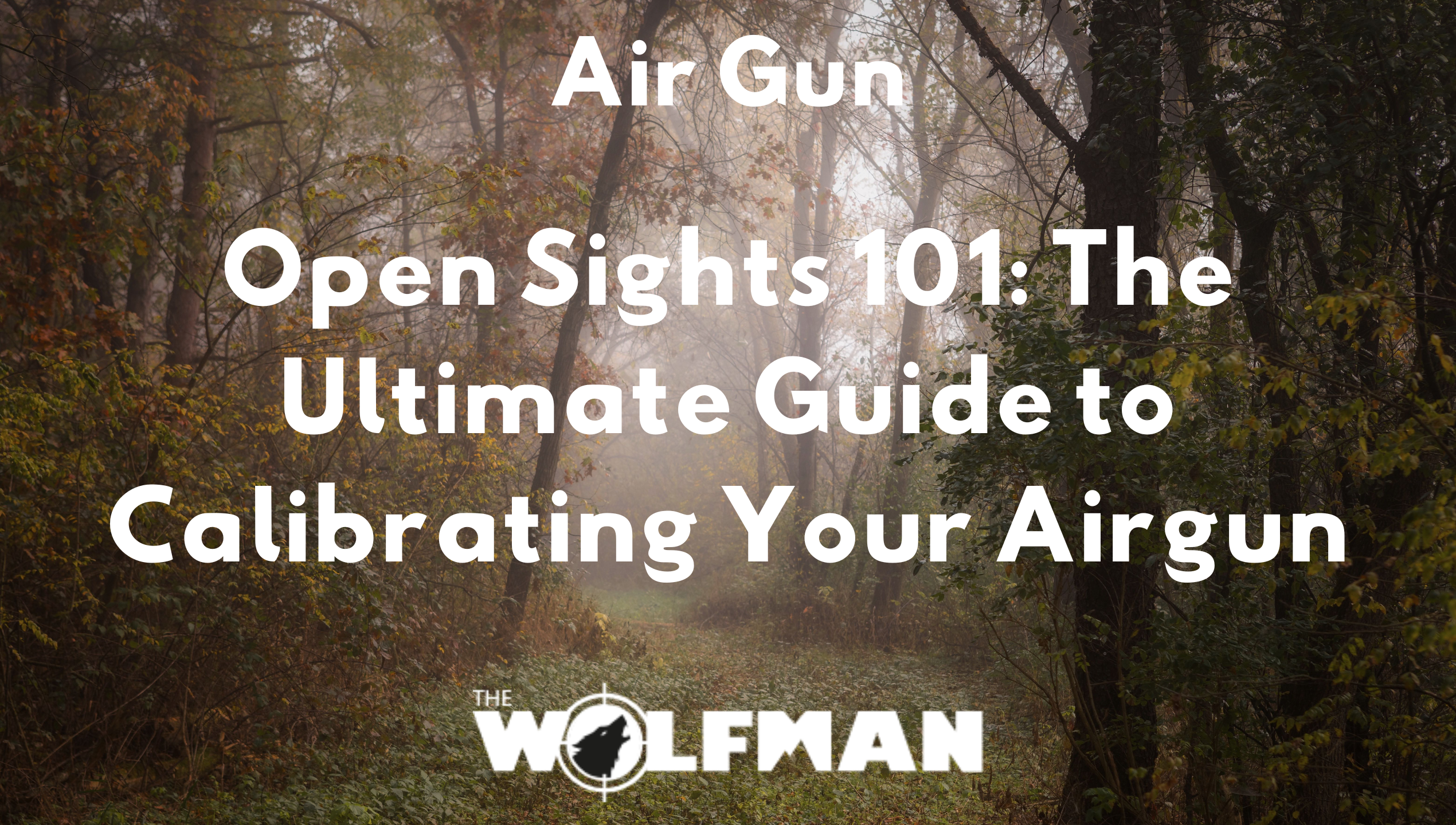 Open Sights 101: The Ultimate Guide to Calibrating Your Airgun